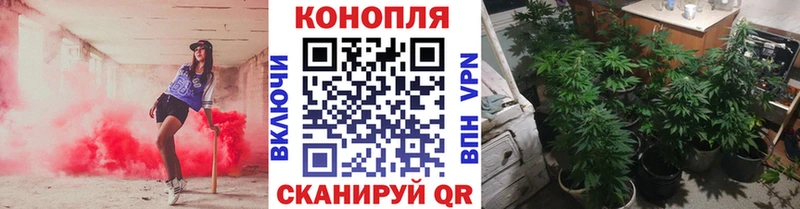 Где можно купить наркотики Ворсма Марихуана  A-PVP  hydra рабочий сайт  Codein  Меф  ГАШИШ  КОКАИН 