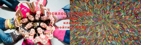 MDMA Premium VHQ Верхнеуральск