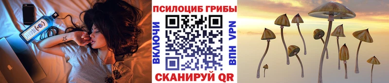 наркота  Ворсма  Галлюциногенные грибы Psilocybe 